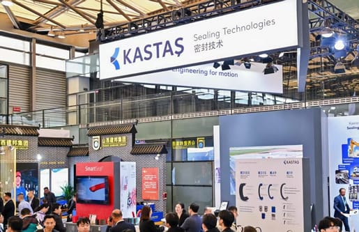 Celebrating 20 Years in the Chinese Market